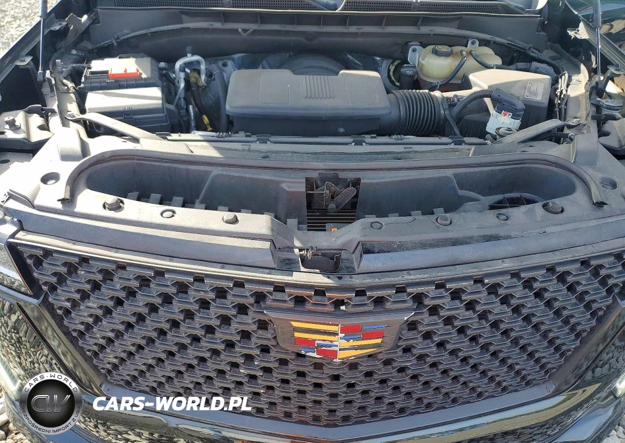 2021 Cadillac Escalade Luxury VIN:1GYS4AKLXMR325132 - 12