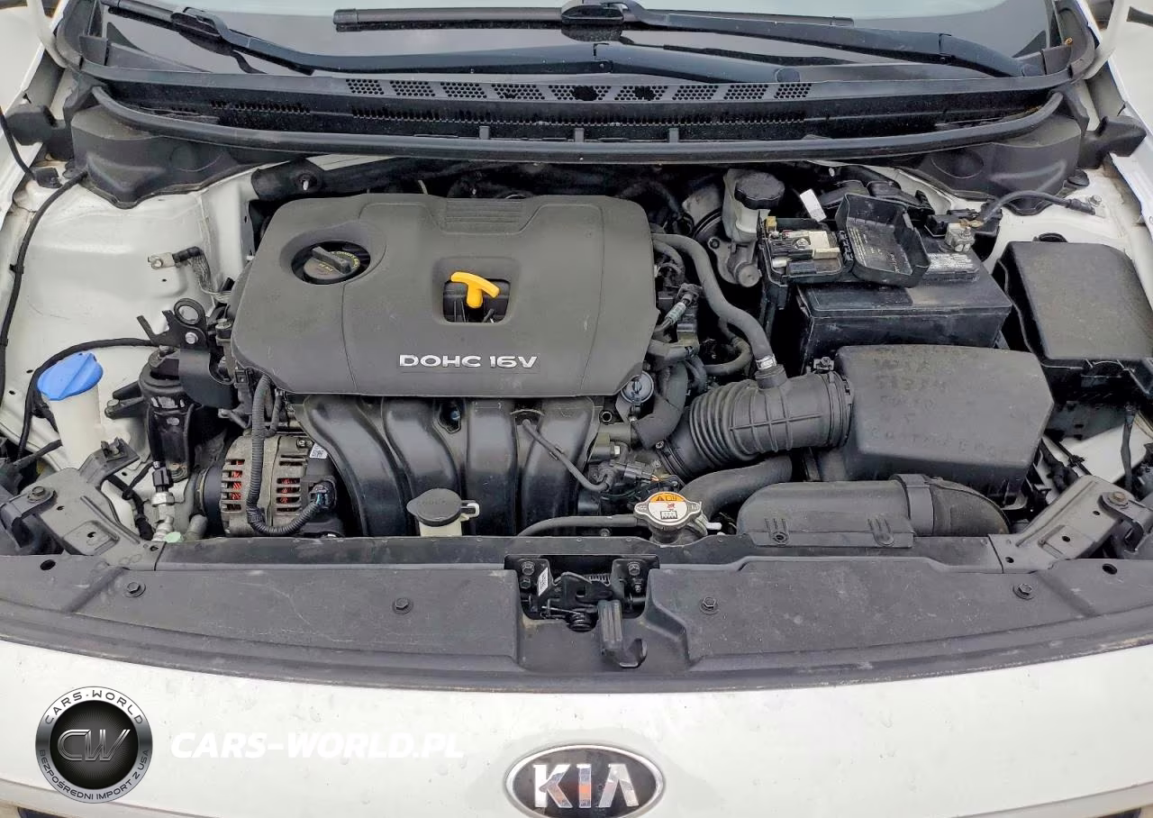 2017 Kia Forte Lx VIN:3KPFK4A74HE075830 - 11