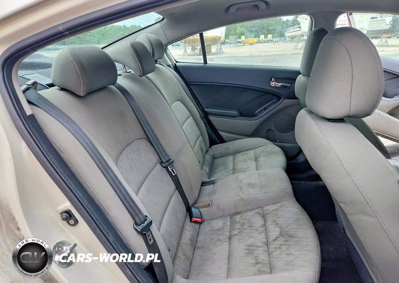 2015 Kia Forte Lx VIN:KNAFK4A6XF5311099 - 10