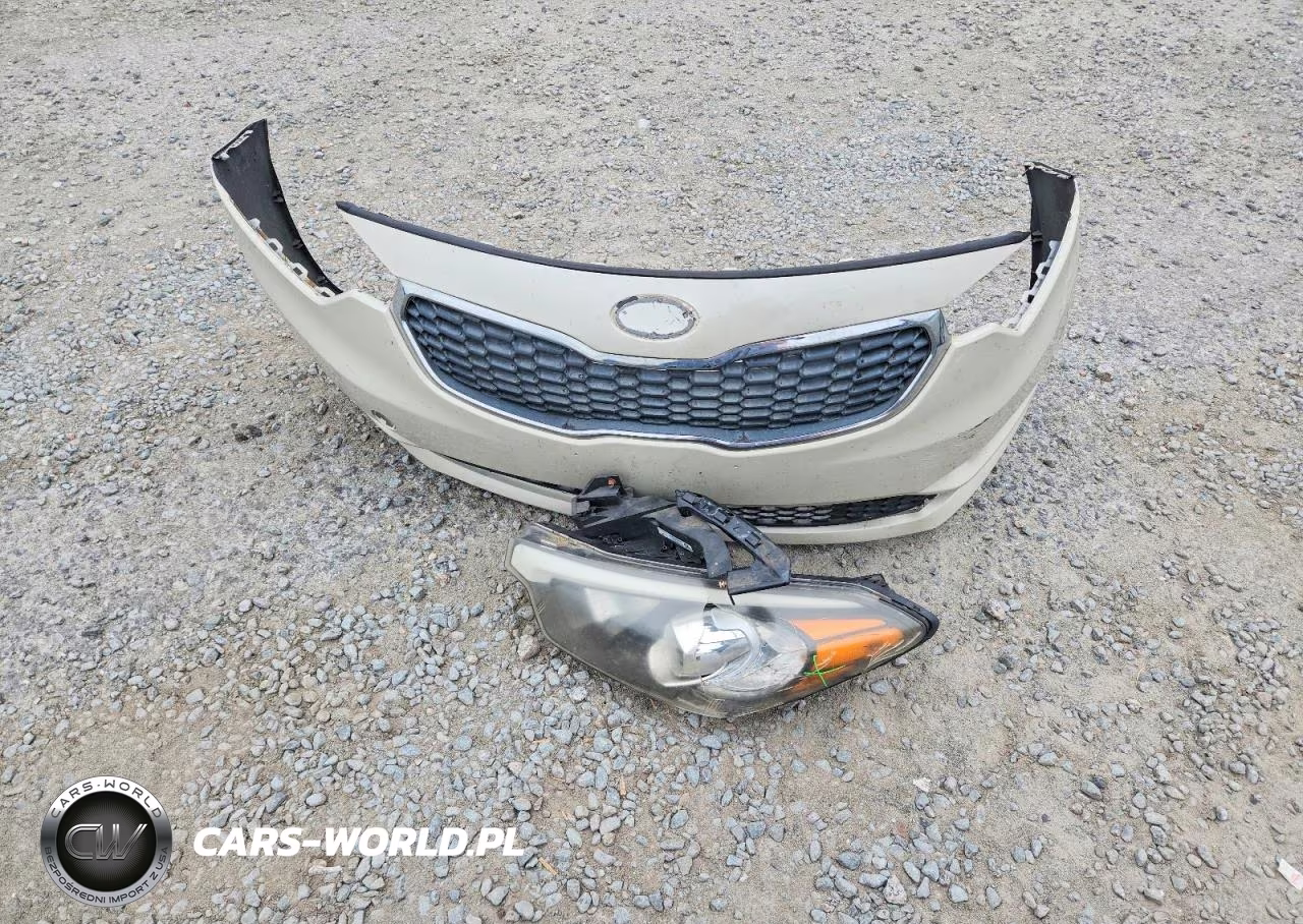 2015 Kia Forte Lx VIN:KNAFK4A6XF5311099 - 12