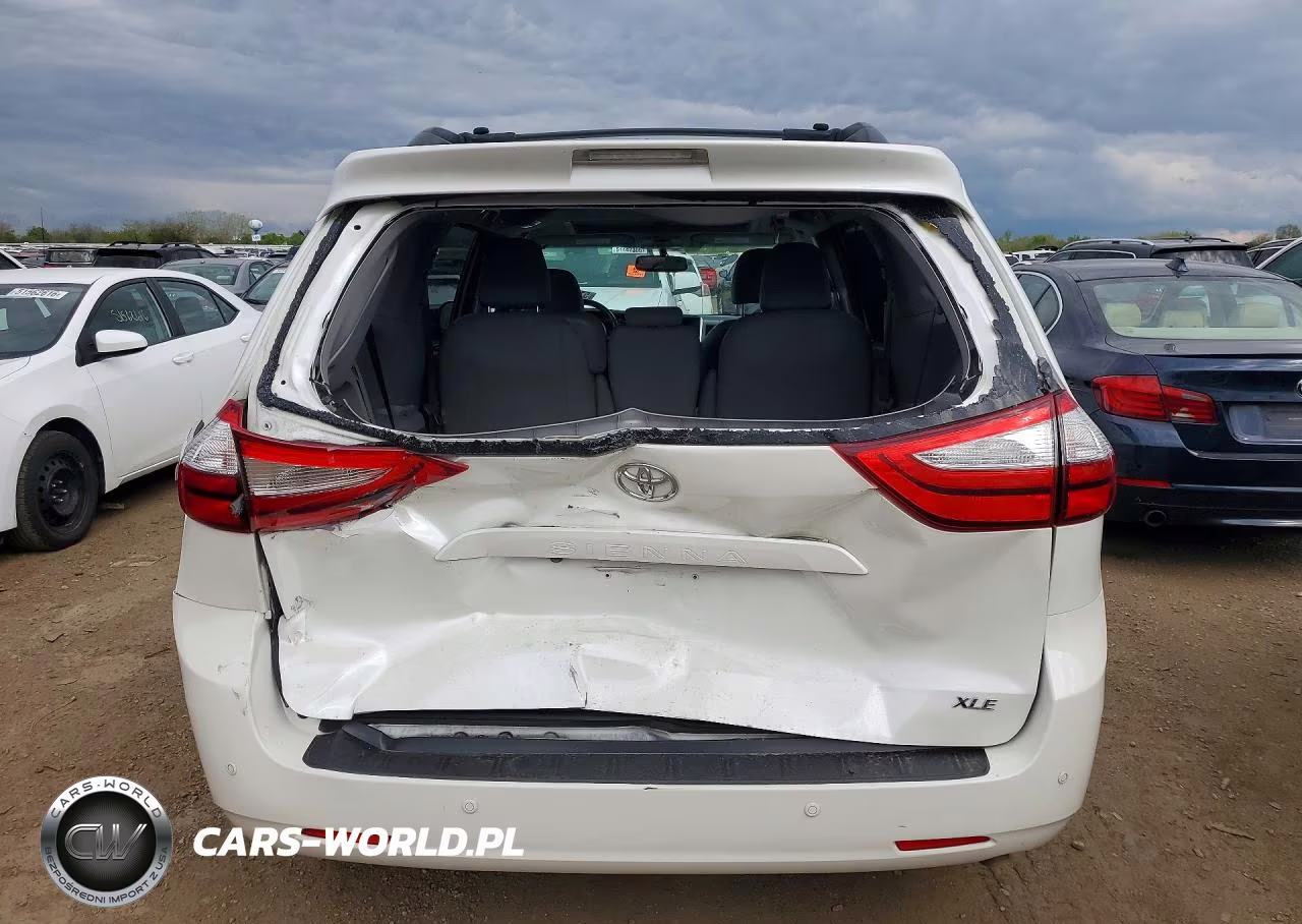 2017 Toyota Sienna Xle 8-Passenger VIN:5TDYZ3DC1HS816478 - 6