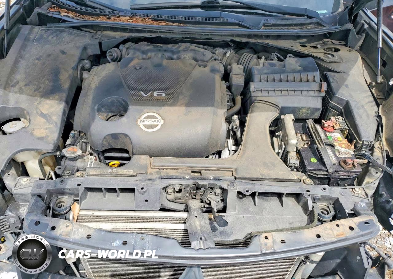 2013 Nissan Maxima 3.5 S VIN:1N4AA5APXDC820266 - 11