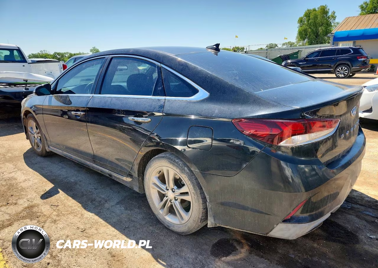 2019 Hyundai Sonata Sport VIN:5NPE34AF7KH741985 - 2