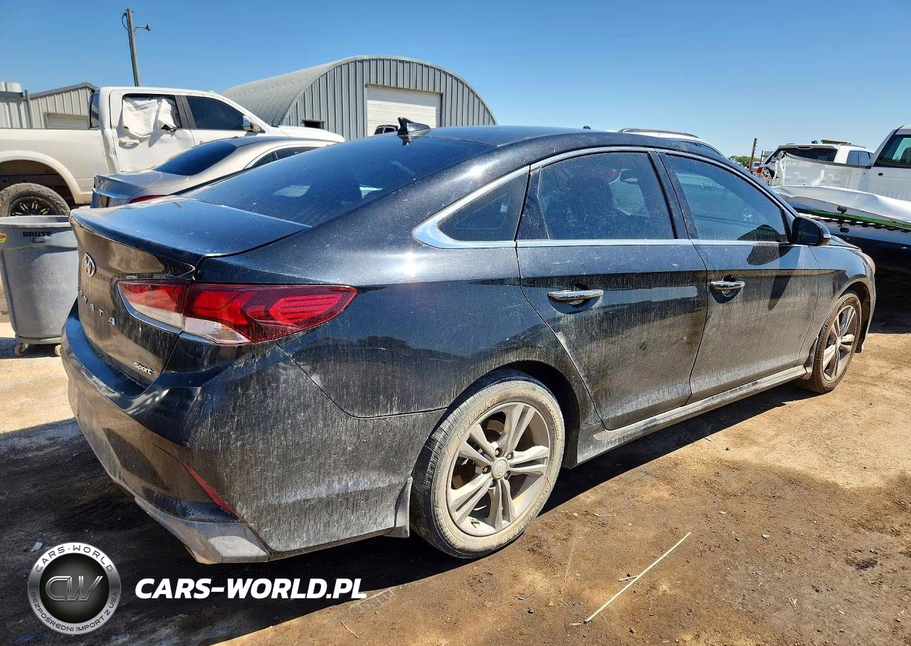 2019 Hyundai Sonata Sport VIN:5NPE34AF7KH741985 - 3