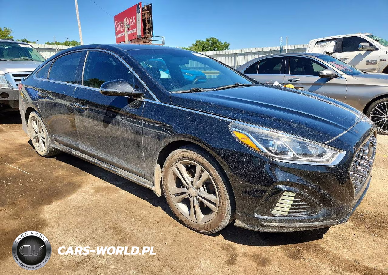 2019 Hyundai Sonata Sport VIN:5NPE34AF7KH741985 - 4