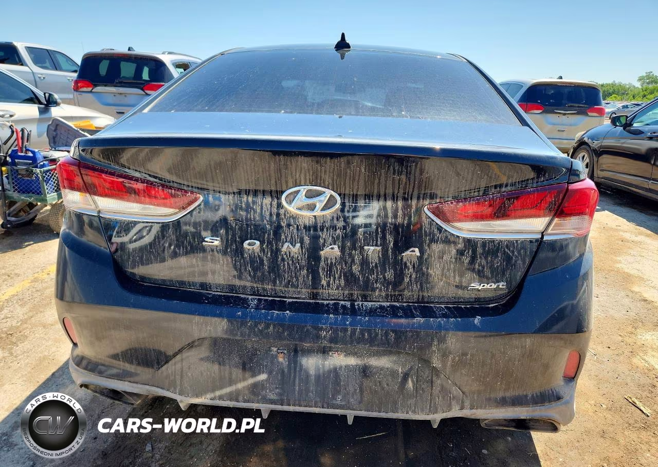 2019 Hyundai Sonata Sport VIN:5NPE34AF7KH741985 - 6