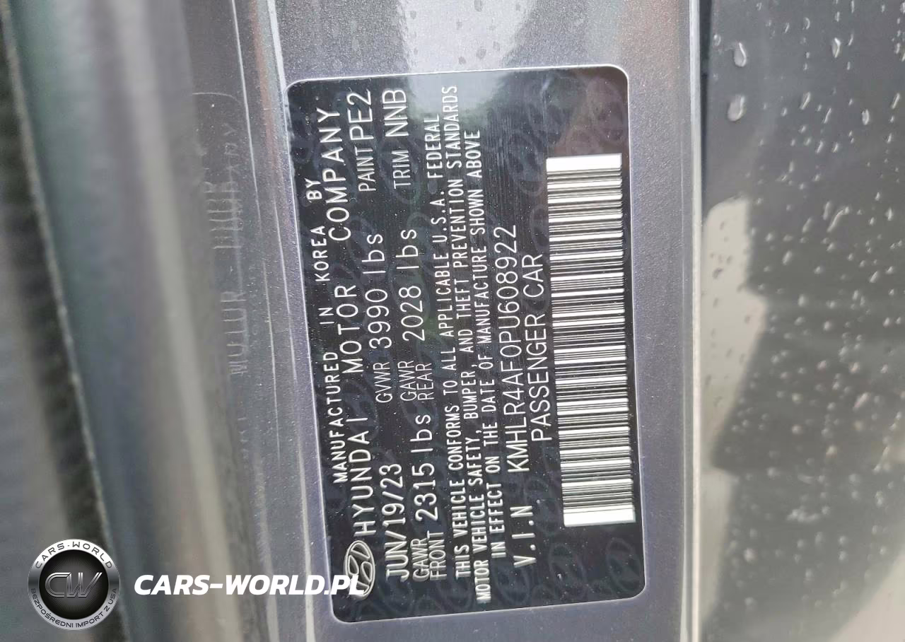 2023 Hyundai Elantra N Line VIN:KMHLR4AF0PU608922 - 13