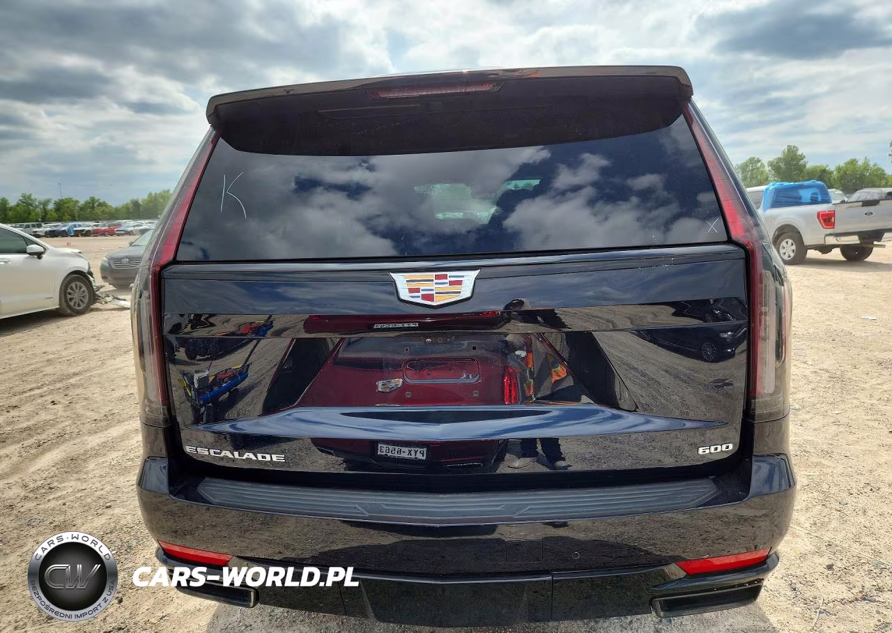 2024 Cadillac Escalade Esv Sport VIN:1GYS4PKL7RR286459 - 6