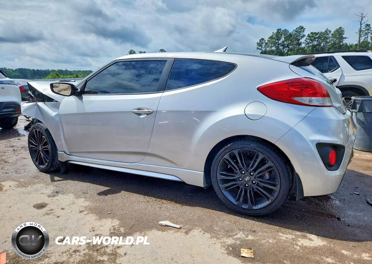 2016 Hyundai Veloster Turbo VIN:KMHTC6AE0GU273732 - 2