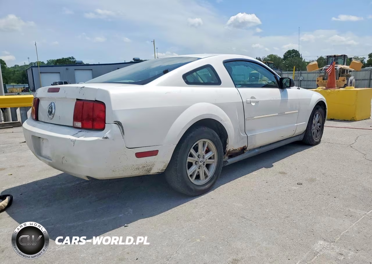 2005 Ford Mustang VIN:1ZVFT80N055191292 - 3