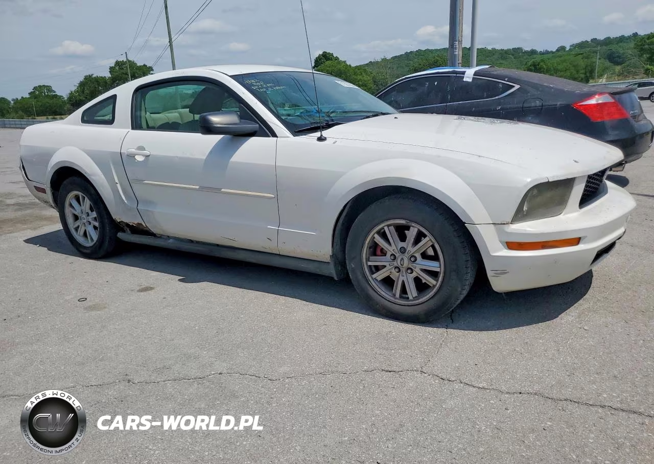 2005 Ford Mustang VIN:1ZVFT80N055191292 - 4