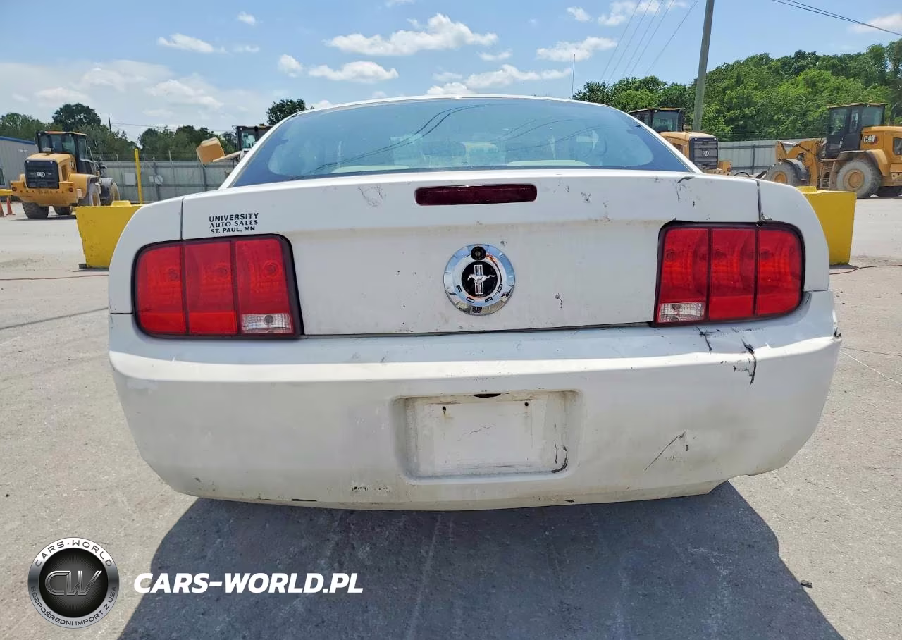 2005 Ford Mustang VIN:1ZVFT80N055191292 - 6