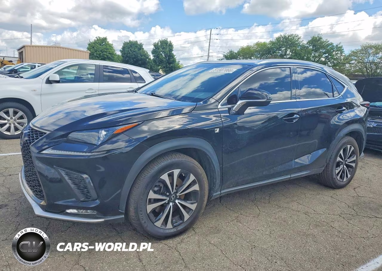 2019 Lexus Nx 300 F Sport