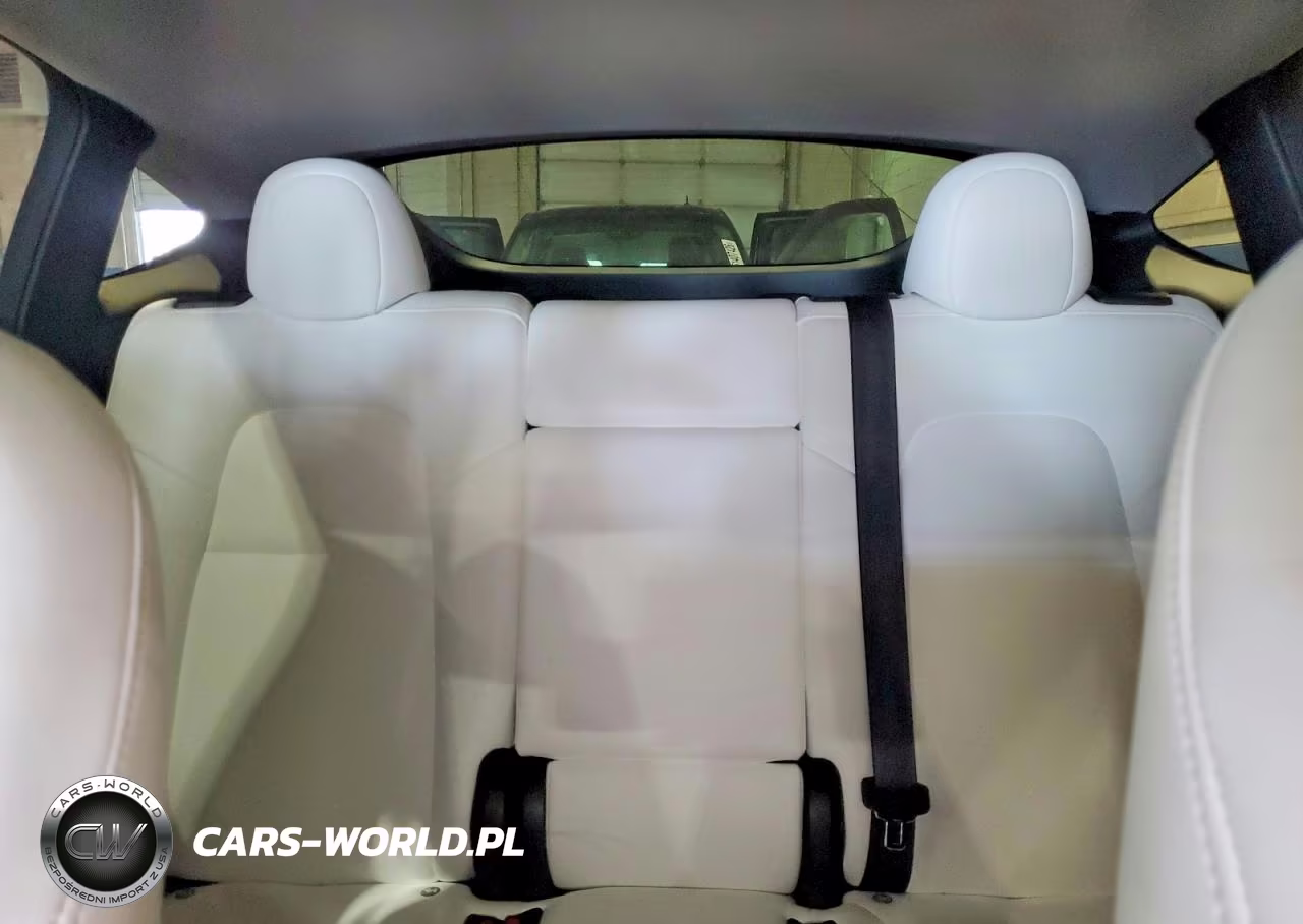 2024 Tesla Model Y VIN:7SAYGDEEXRA278056 - 10