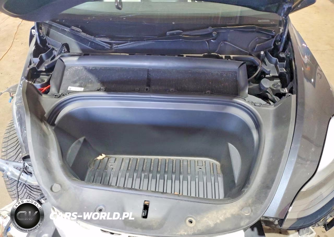 2024 Tesla Model Y VIN:7SAYGDEEXRA278056 - 12