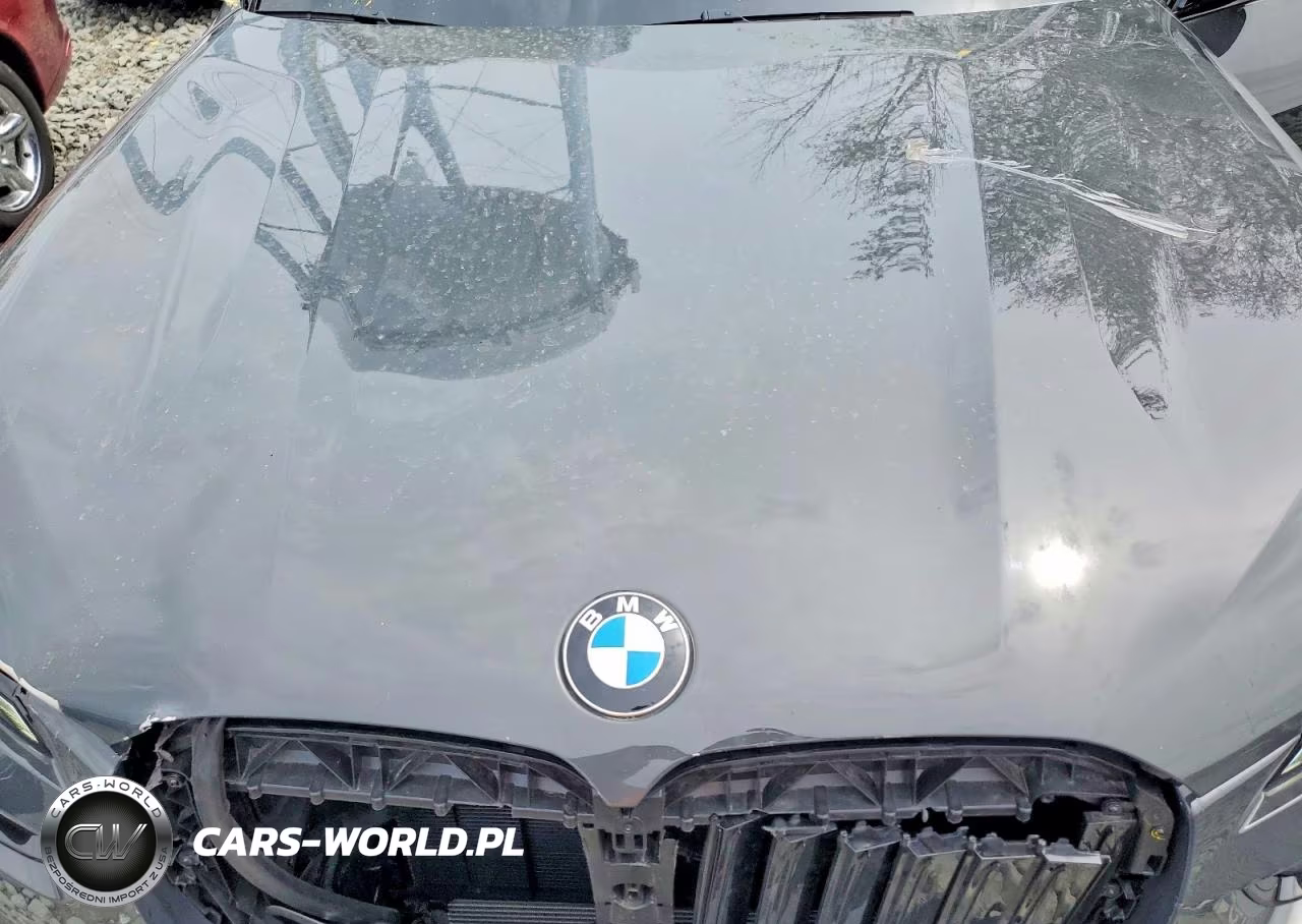 2025 BMW X7 M60I VIN:5UX33EM02S9X33188 - 12