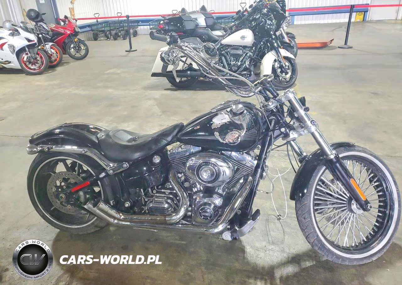 2015 Harley-Davidson Fxsb Breakout