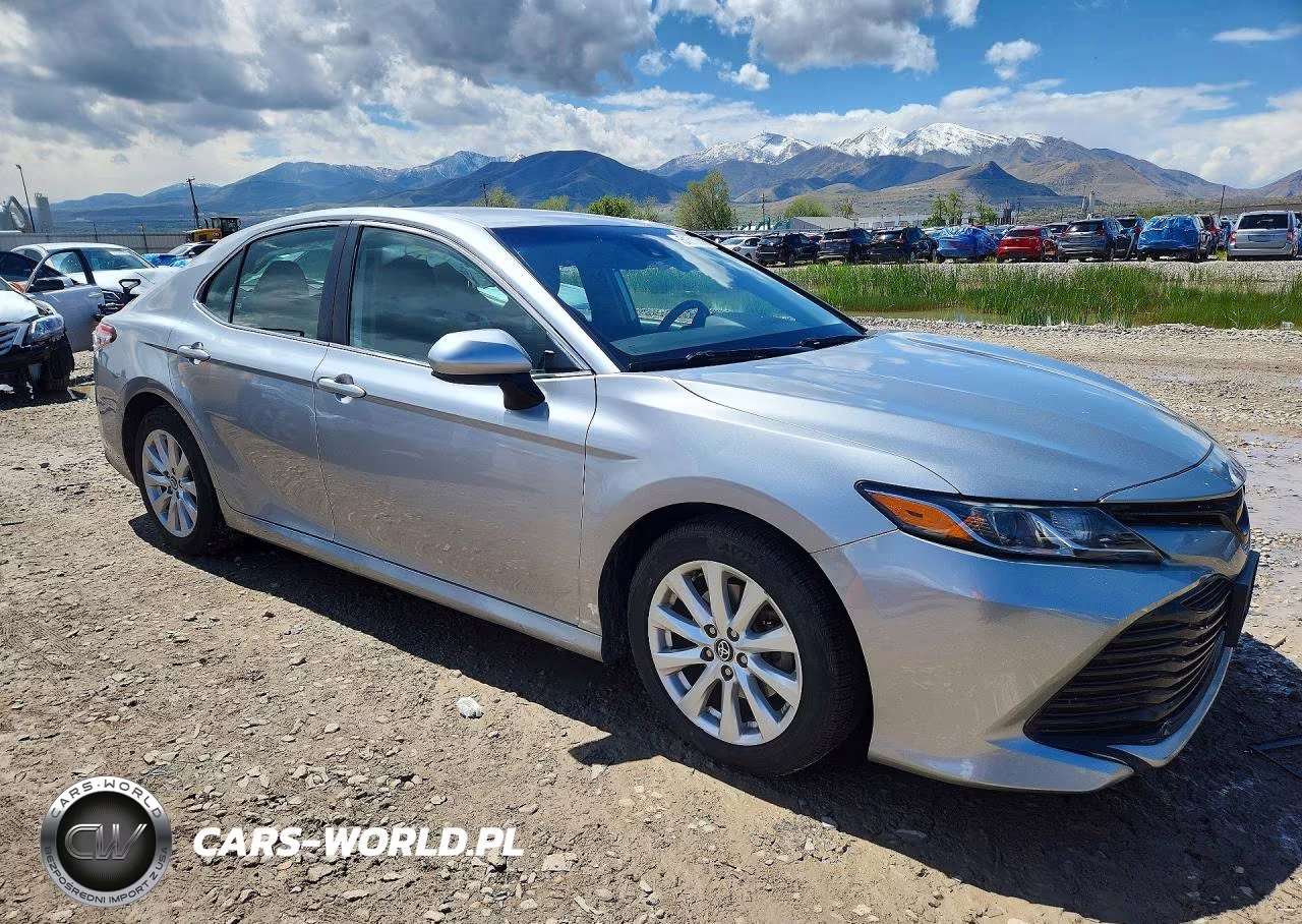 2020 Toyota Camry Le VIN:4T1C11AK3LU916566 - 4