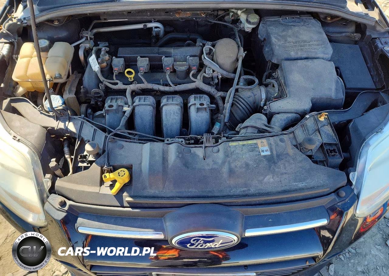 2013 Ford Focus Se VIN:1FADP3F20DL274364 - 11