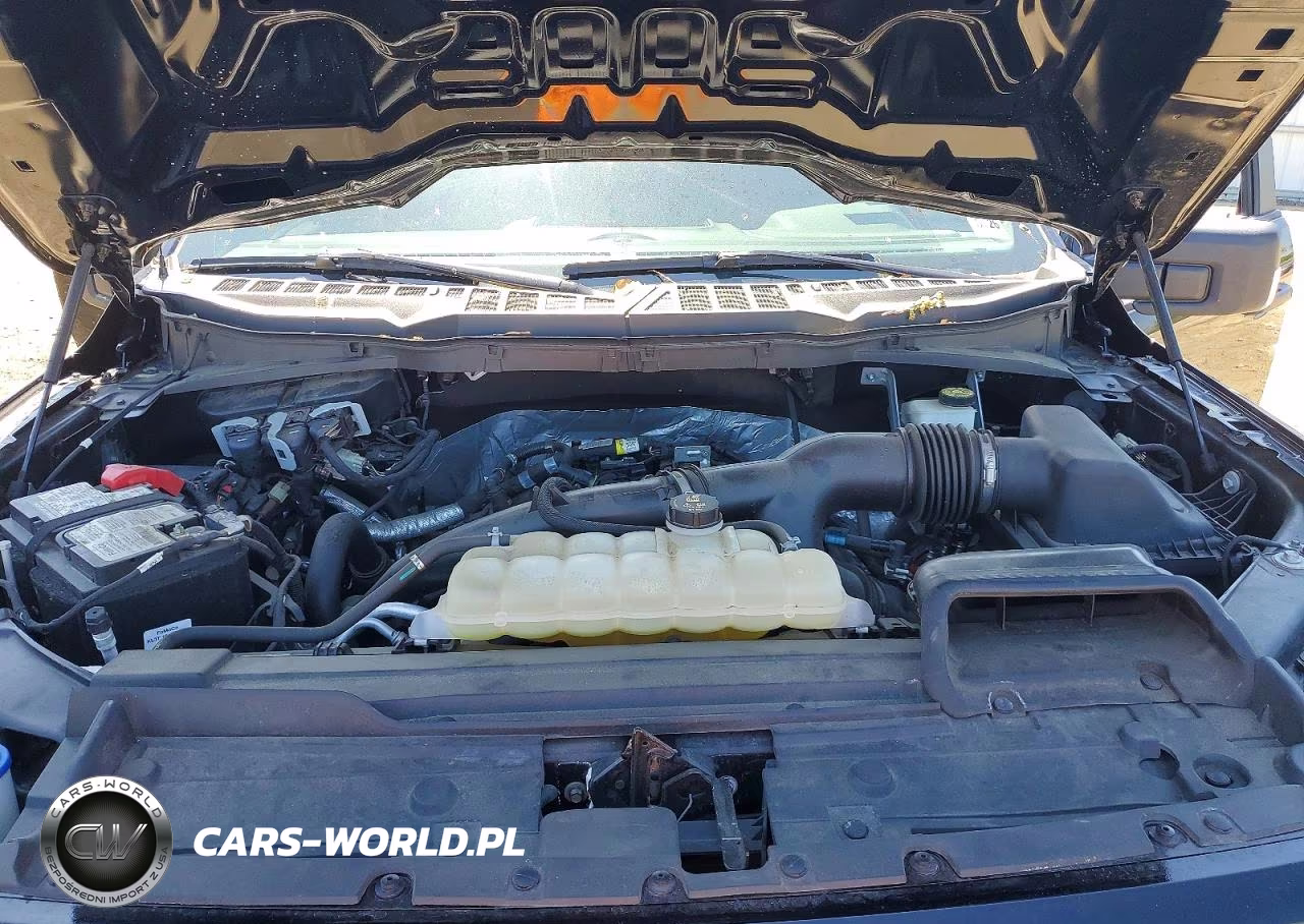 2021 Ford F150 Supercrew VIN:1FTEW1EP2MFA55567 - 11