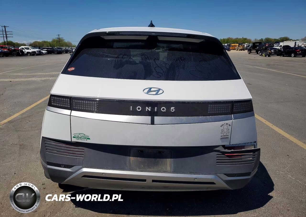 2024 Hyundai Ioniq 5 Sel VIN:KM8KNDDF3RU258319 - 6