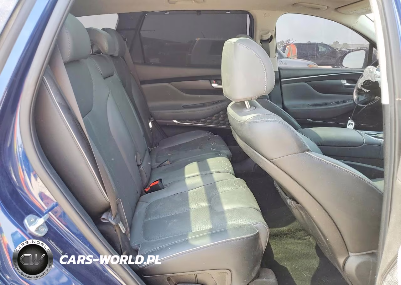 2023 Hyundai Santa Fe Limited VIN:5NMS44AL8PH507008 - 11