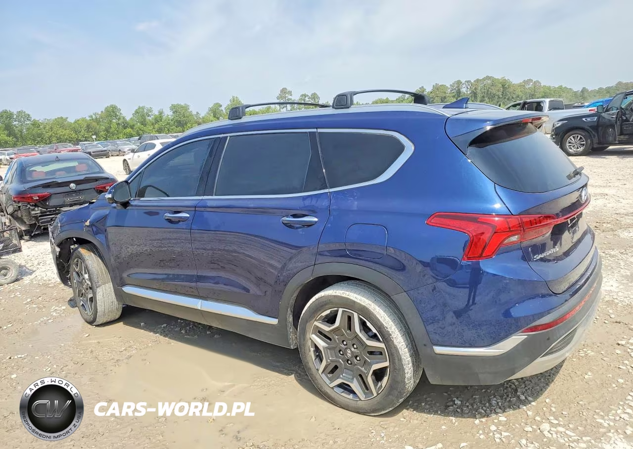 2023 Hyundai Santa Fe Limited VIN:5NMS44AL8PH507008 - 2
