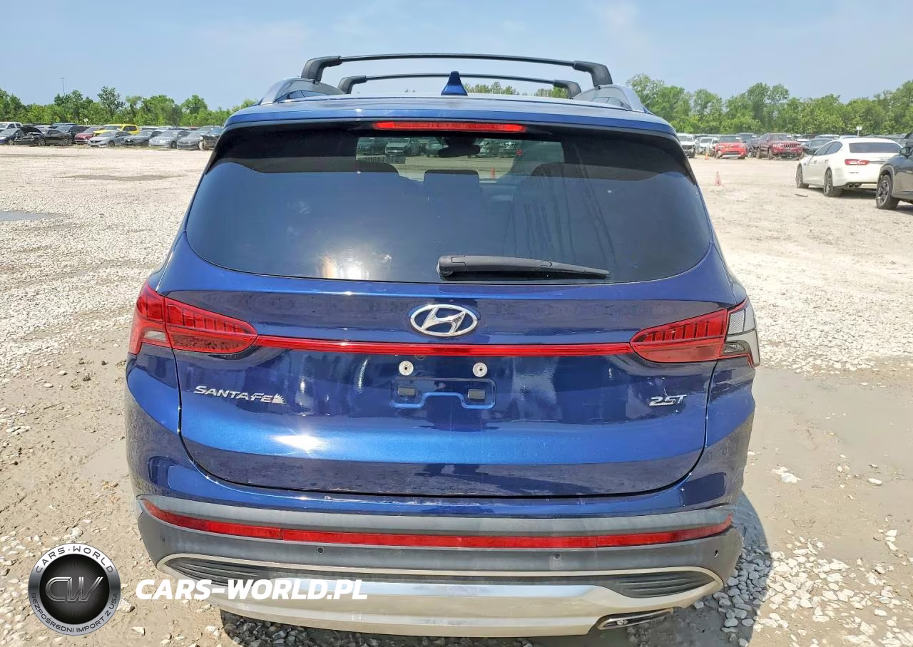 2023 Hyundai Santa Fe Limited VIN:5NMS44AL8PH507008 - 6