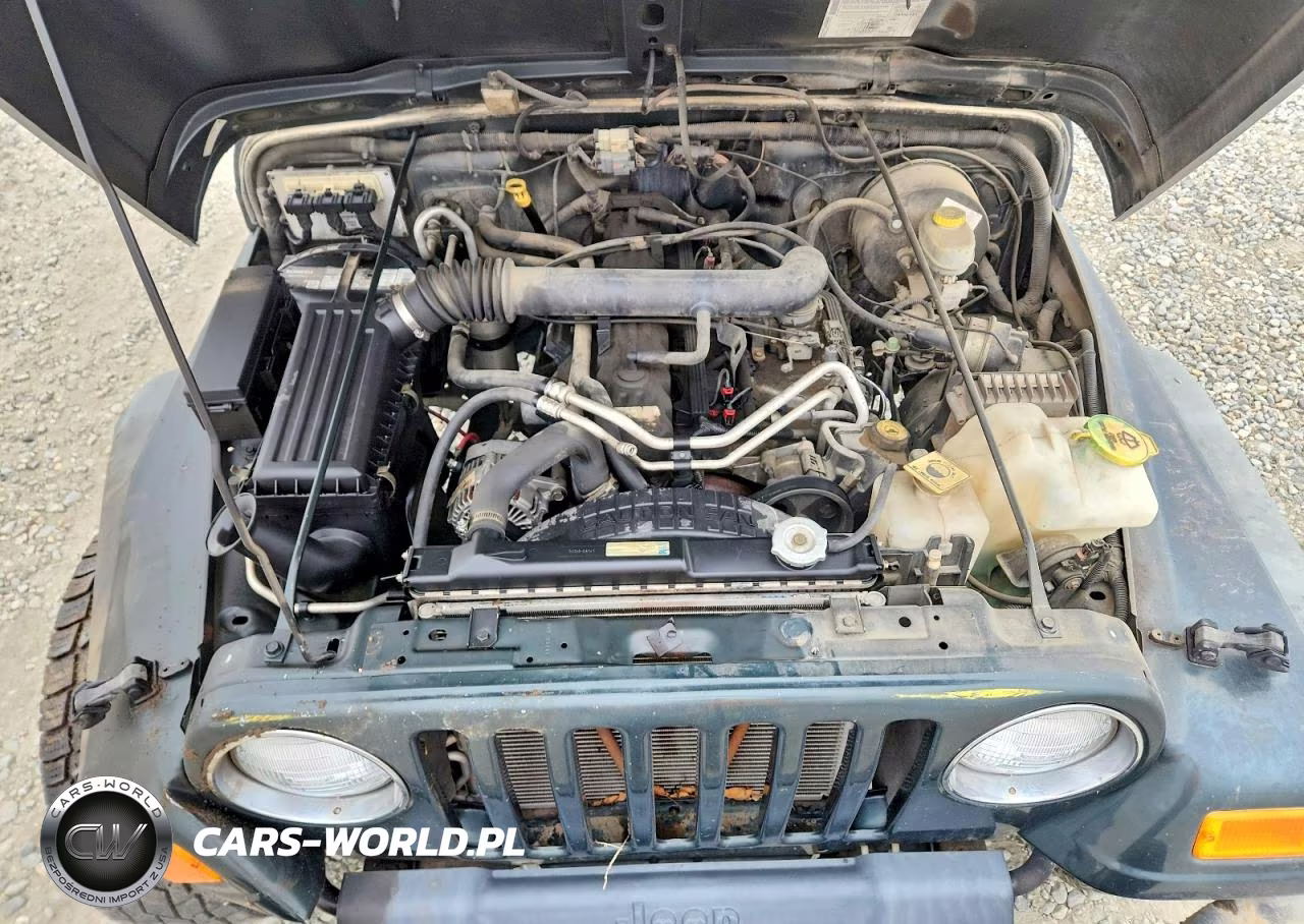 2004 Jeep Wrangler - Tj Sport VIN:1J4FA49S64P747788 - 12