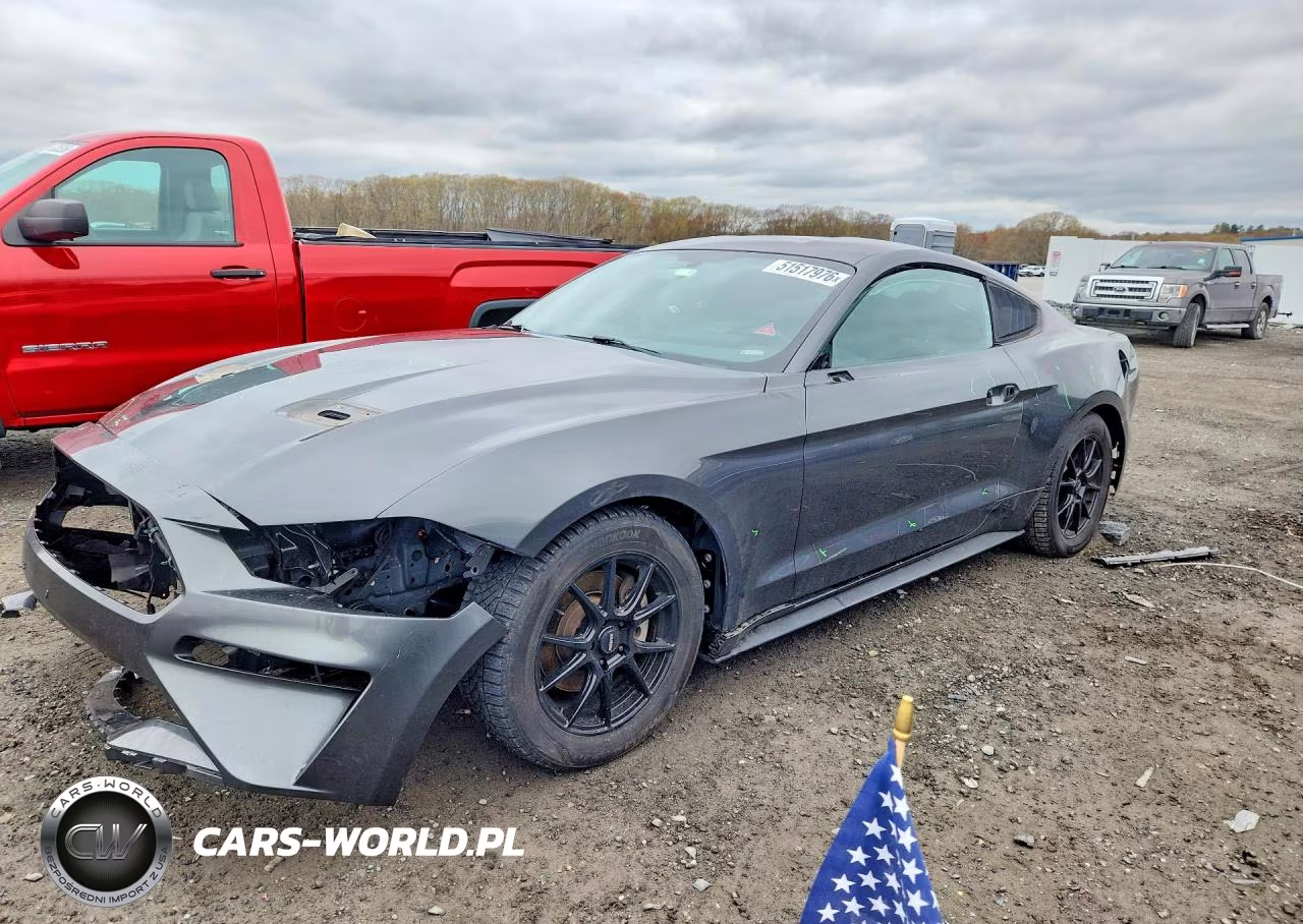 2019 Ford Mustang