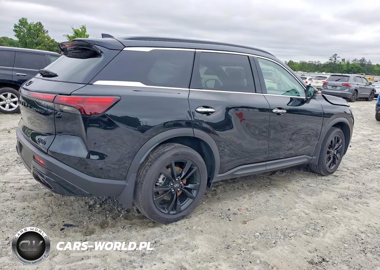 2025 Infiniti Qx60 Luxe VIN:5N1AL1FR6SC355257 - 3