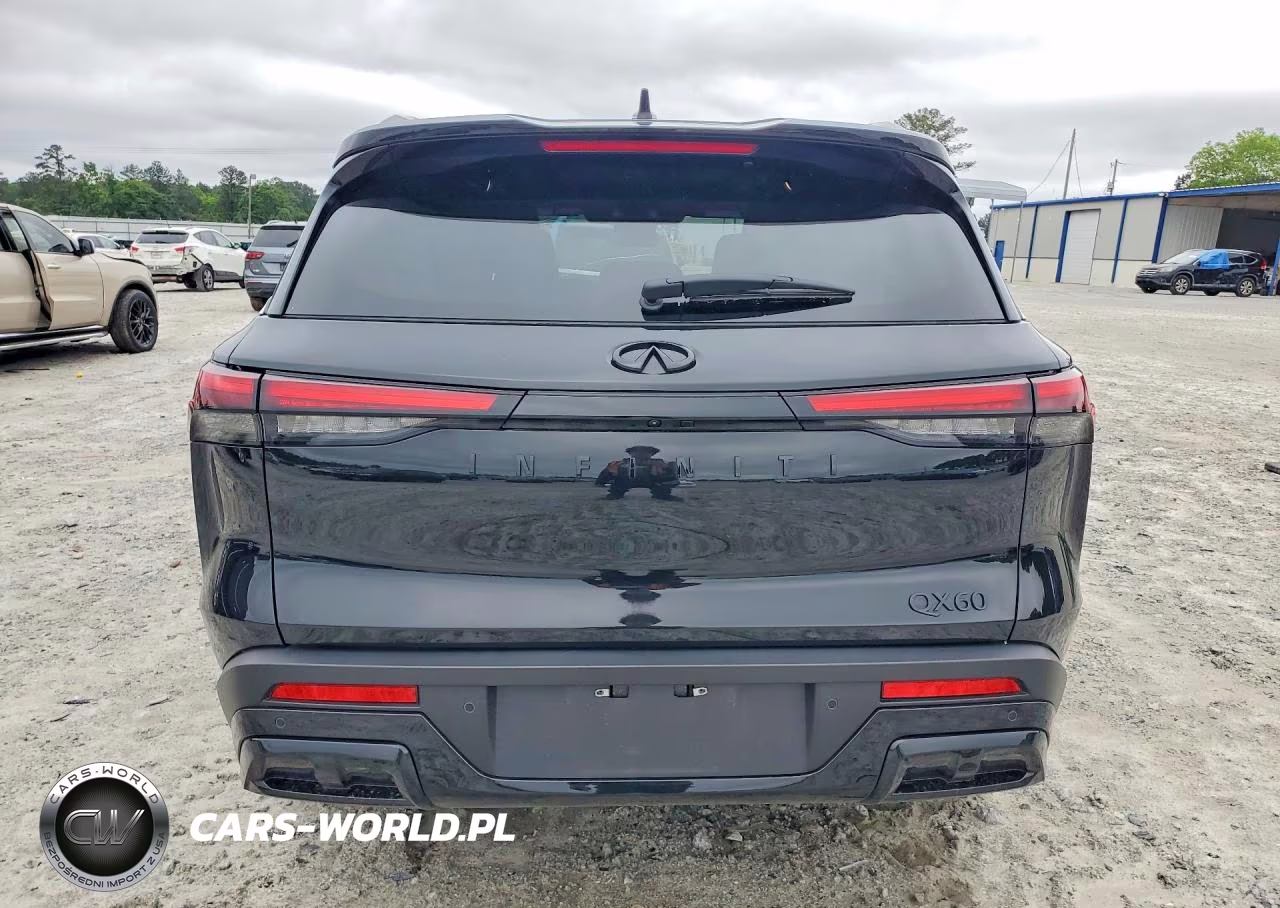2025 Infiniti Qx60 Luxe VIN:5N1AL1FR6SC355257 - 6