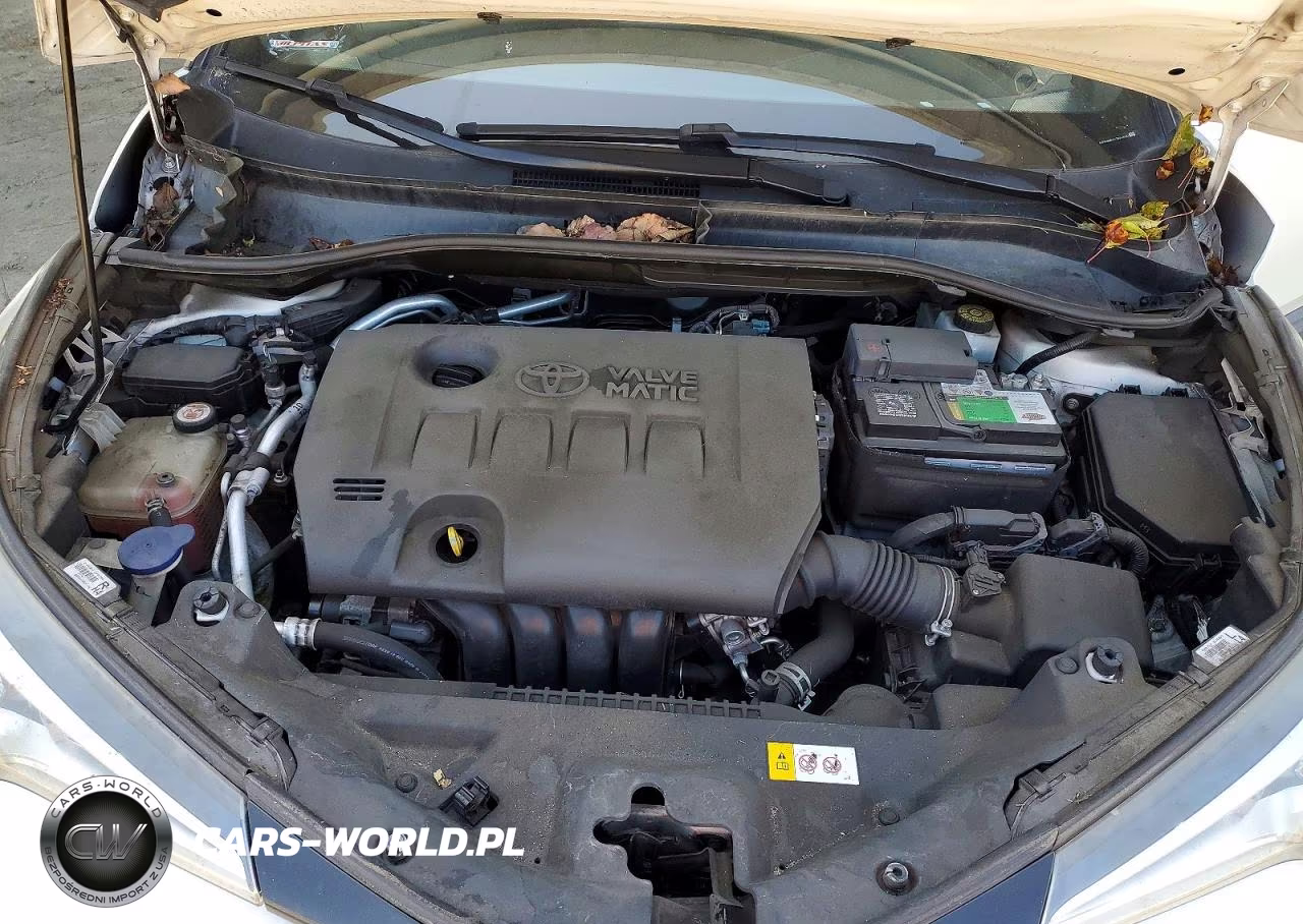 2018 Toyota C-Hr Xle VIN:NMTKHMBX4JR045281 - 11