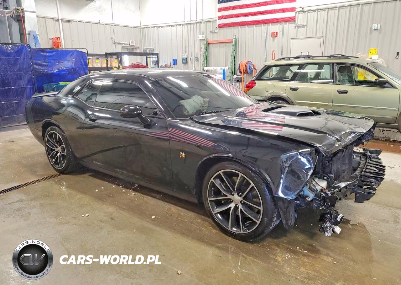 2016 Dodge Challenger R VIN:2C3CDZFJ9GH271476 - 4
