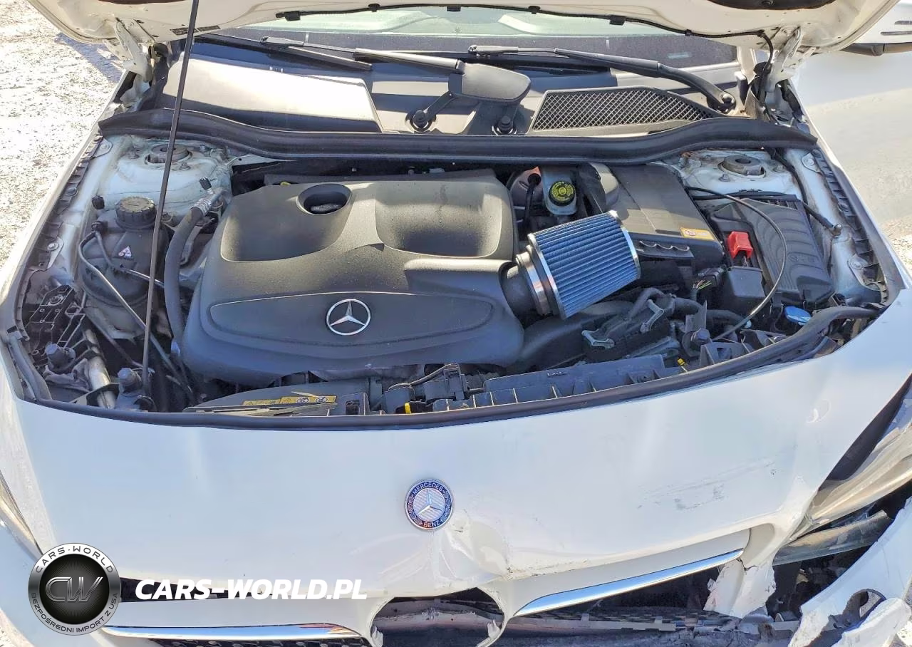 2014 Mercedes-Benz Cla 250 VIN:WDDSJ4EB4EN138504 - 11