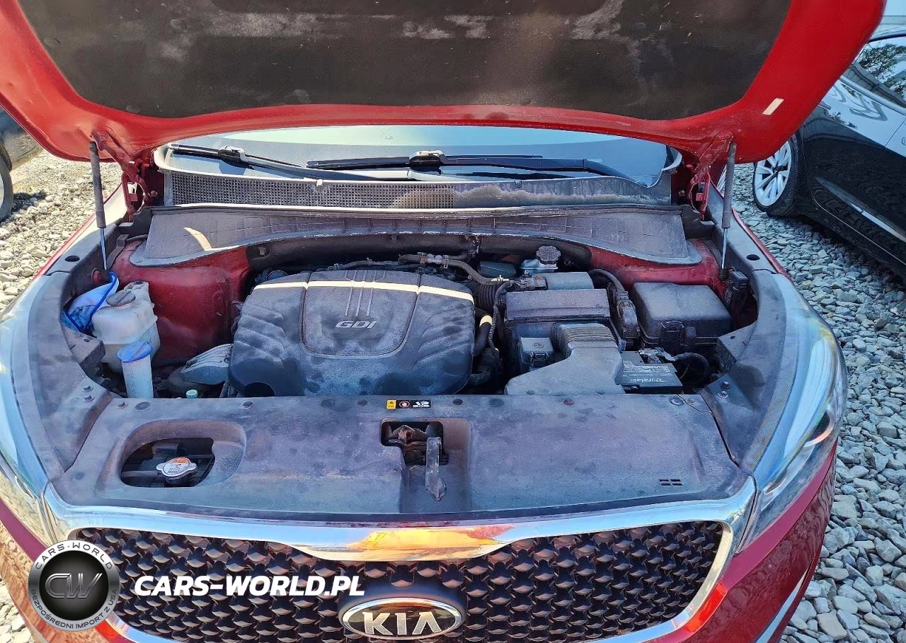 2017 Kia Sorento Lx VIN:5XYPGDA5XHG248015 - 11