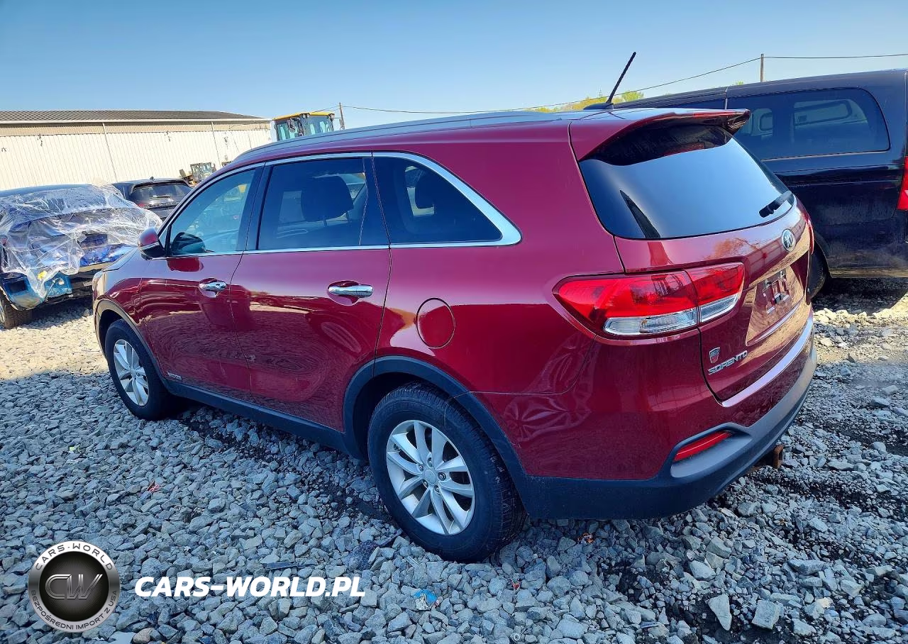 2017 Kia Sorento Lx VIN:5XYPGDA5XHG248015 - 2
