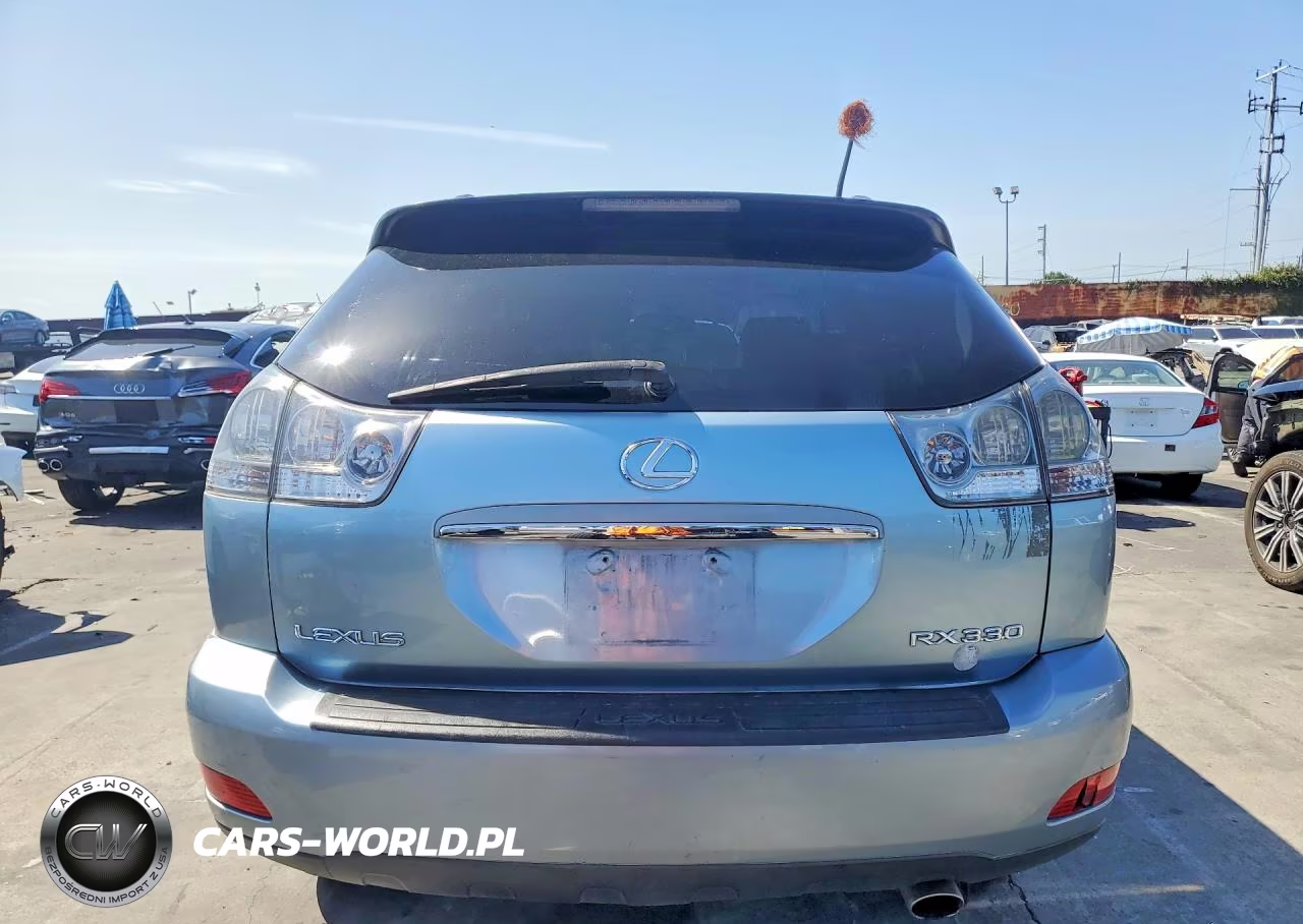 2004 Lexus Rx 330 VIN:JTJHA31UX40020472 - 6