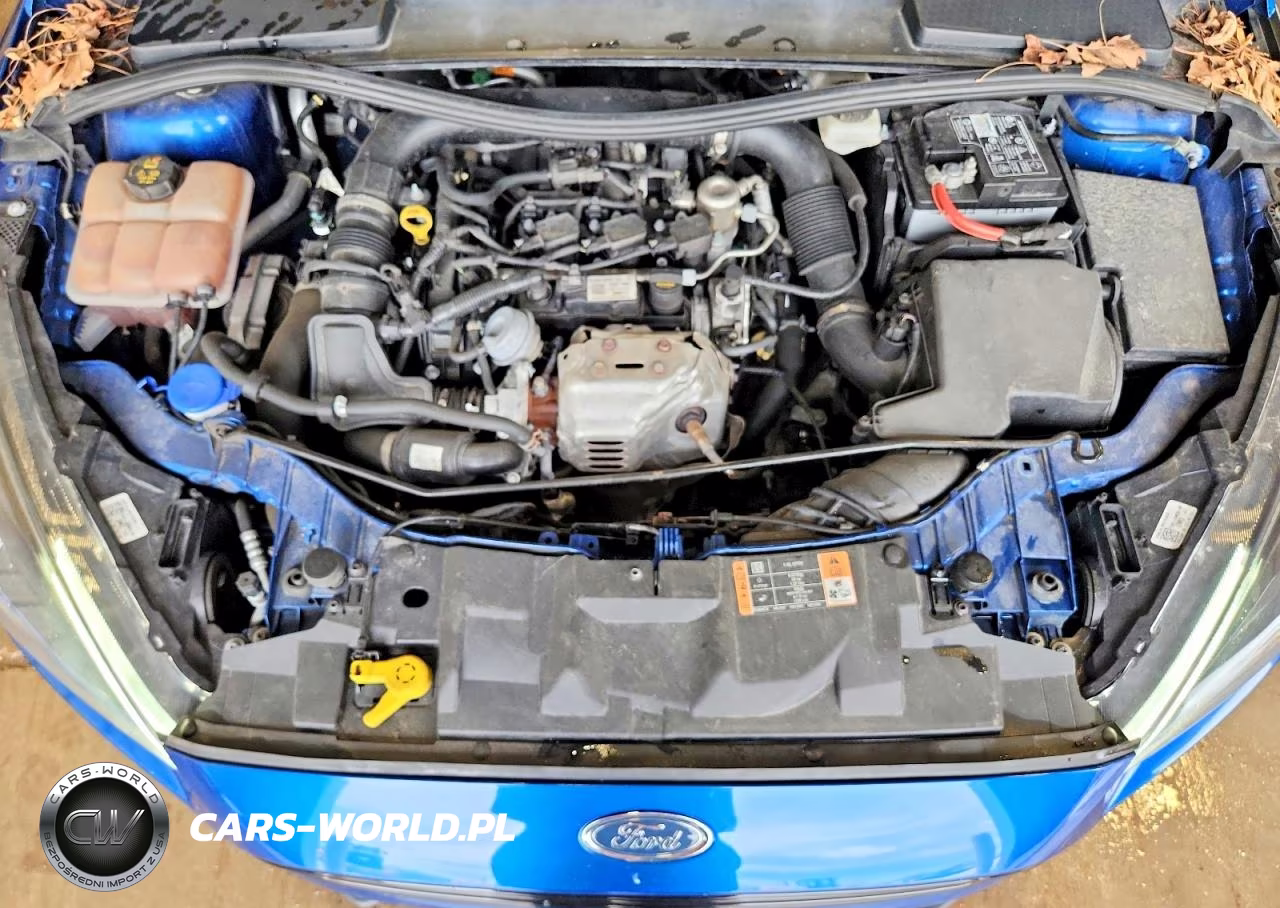 2018 Ford Focus Se VIN:1FADP3FEXJL257464 - 11