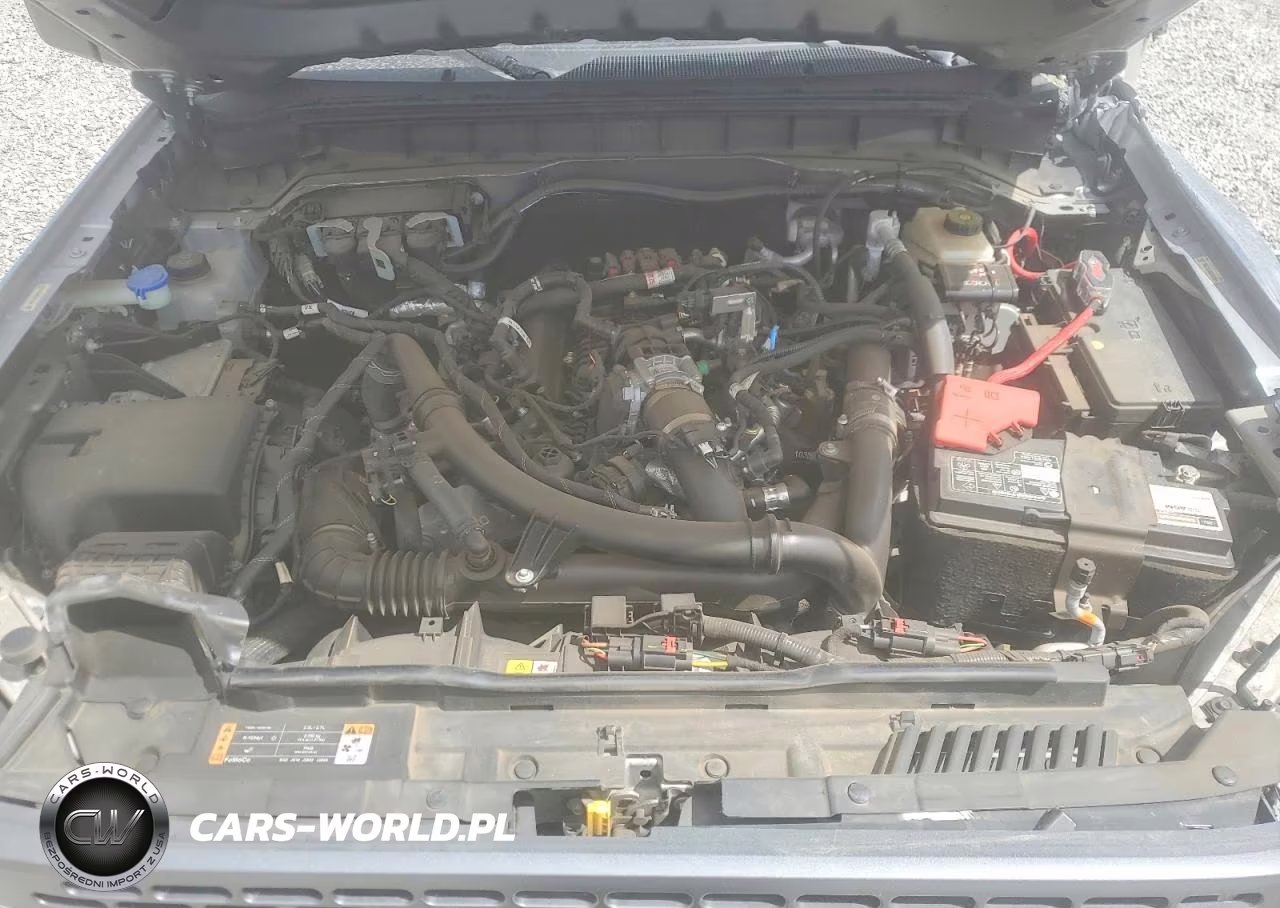 2023 Ford Bronco Base VIN:1FMEE5DPXPLB17102 - 12