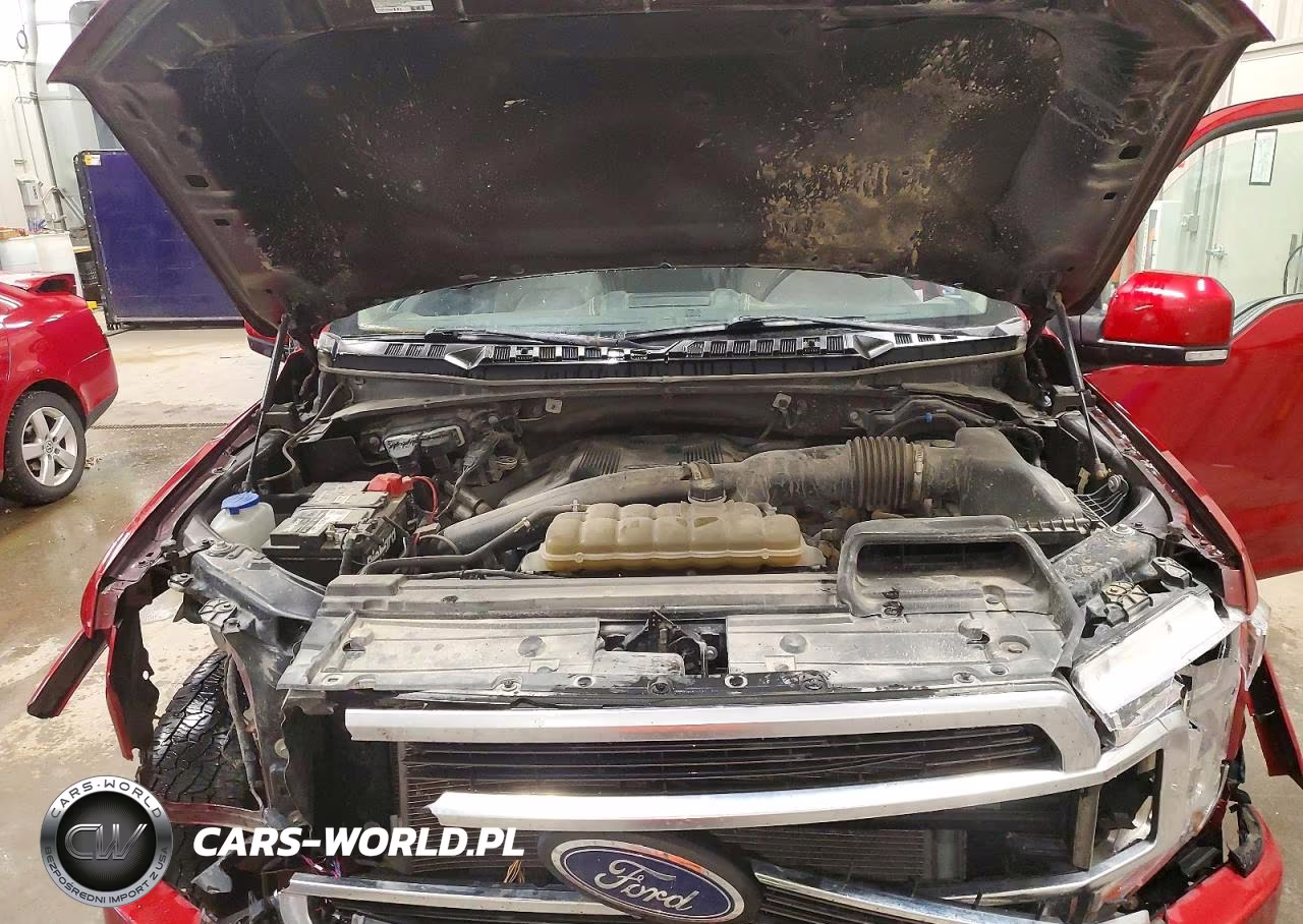 2020 Ford F150 Supercrew VIN:1FTEW1EG6LFB16935 - 11