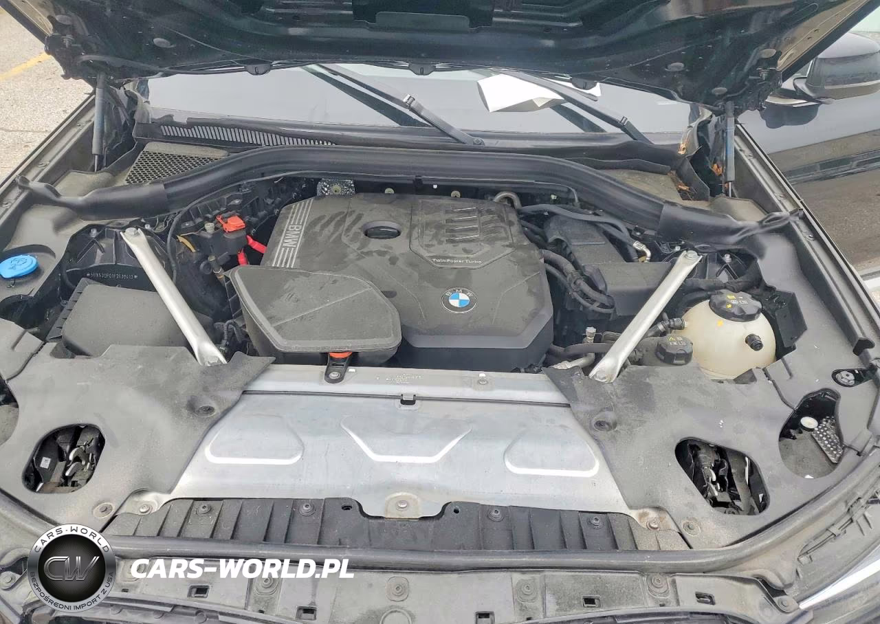 2023 BMW X3 xDrive30I VIN:5UX53DP01P9S09410 - 12