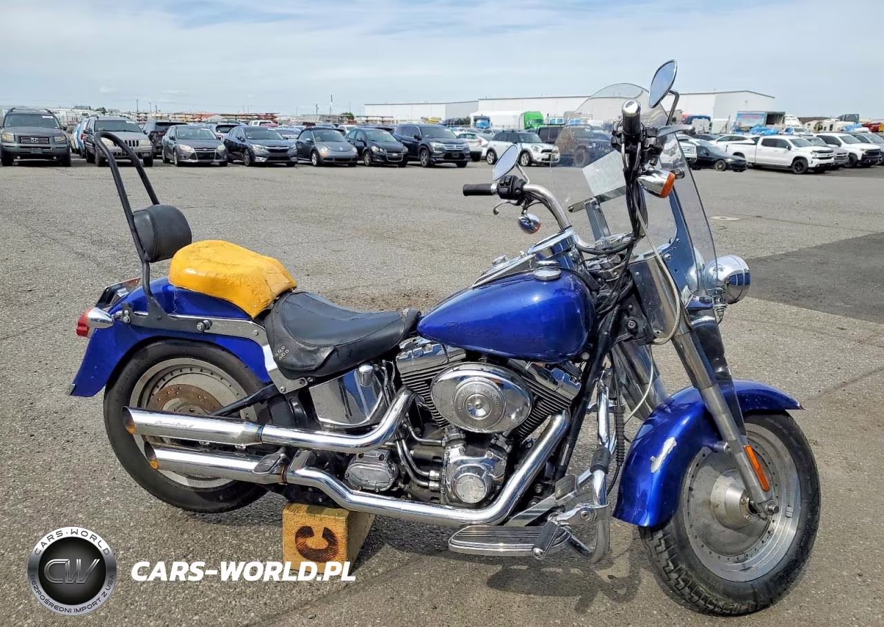 2006 Harley-Davidson Flstfi