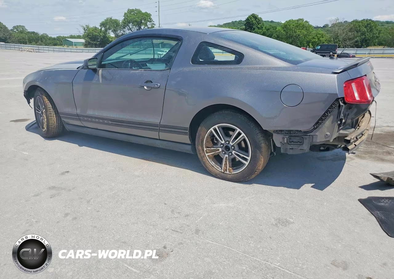 2010 Ford Mustang VIN:1ZVBP8AN3A5144382 - 2