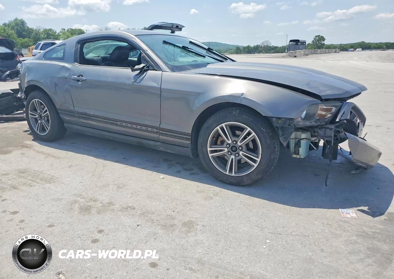 2010 Ford Mustang VIN:1ZVBP8AN3A5144382 - 4