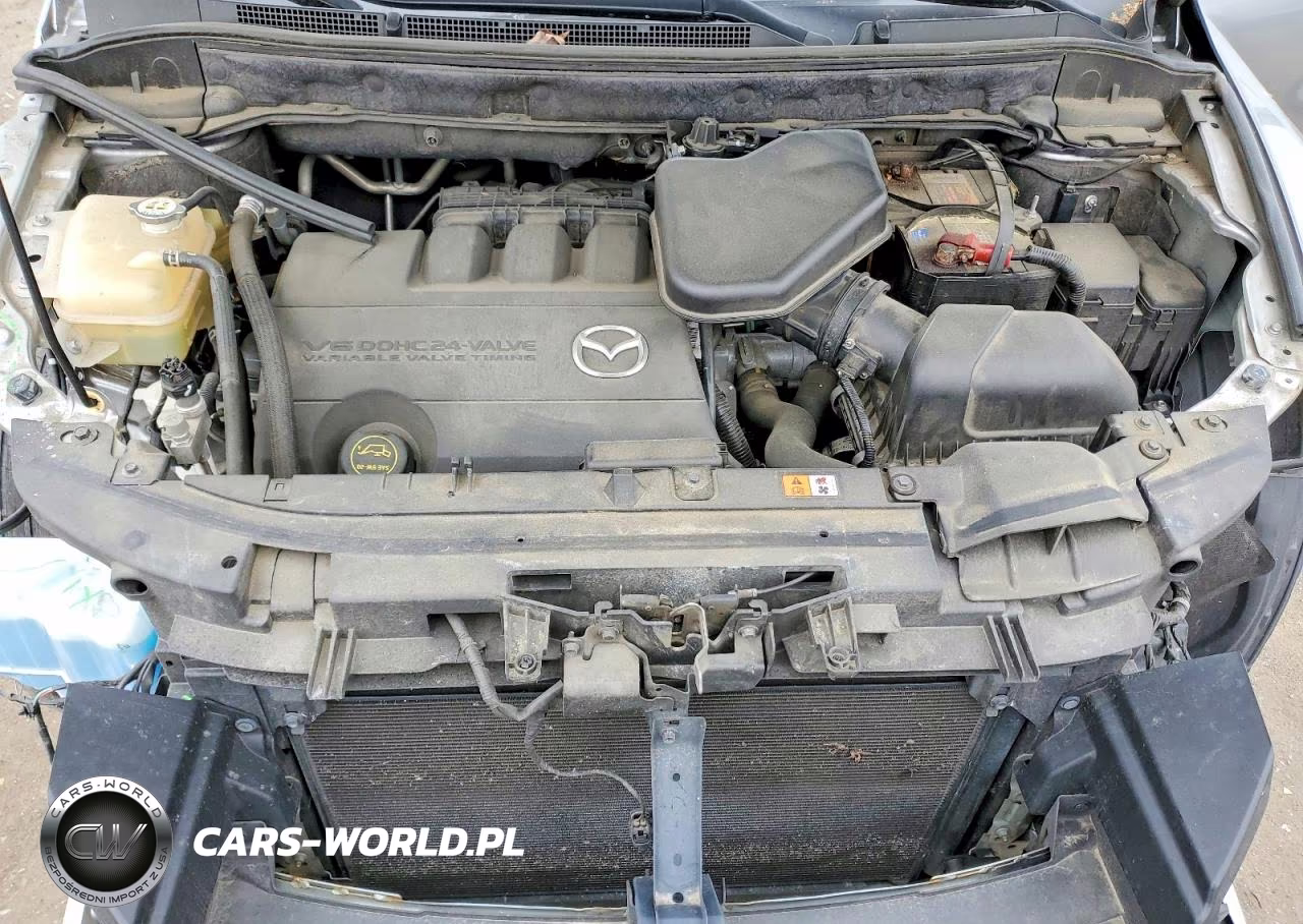 2010 Mazda Cx-9 VIN:JM3TB2MA8A0236782 - 12