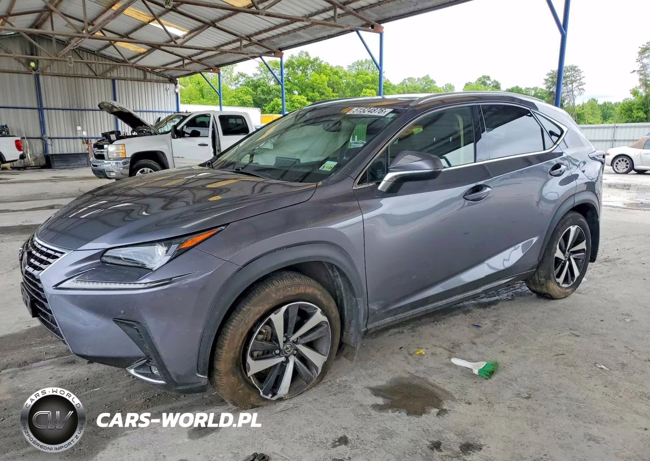 2021 Lexus Nx 300 Base
