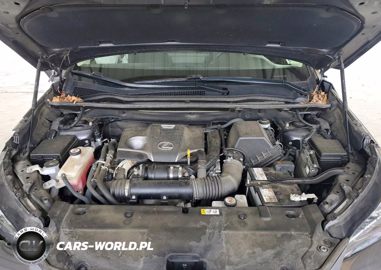 2021 Lexus Nx 300 Base VIN:JTJGARDZ1M2245955 - 11