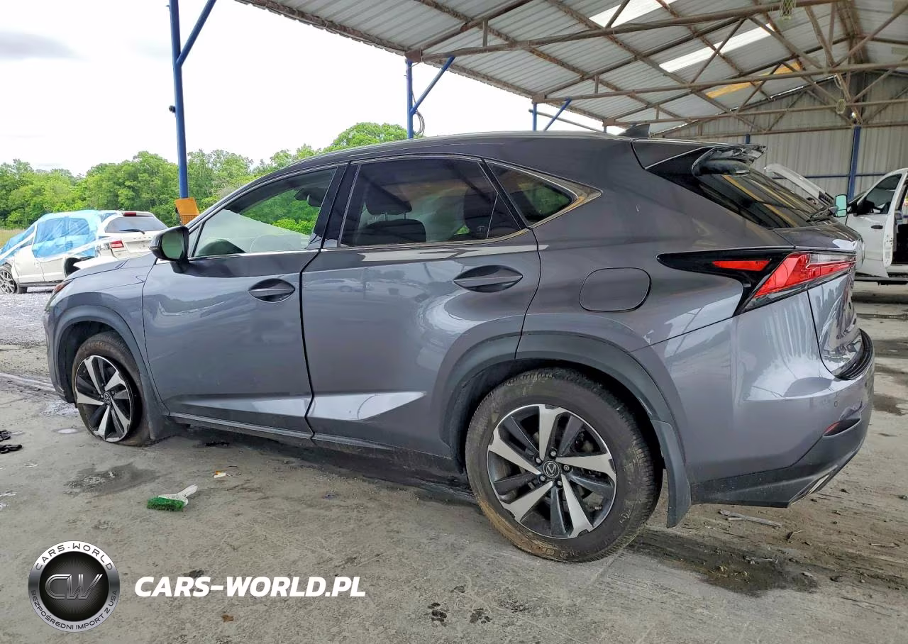 2021 Lexus Nx 300 Base VIN:JTJGARDZ1M2245955 - 2