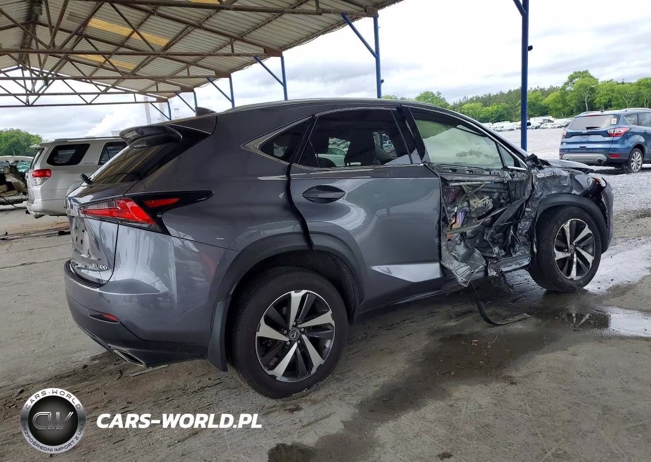 2021 Lexus Nx 300 Base VIN:JTJGARDZ1M2245955 - 3